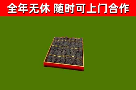 平原回收海参